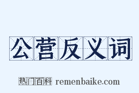 公营反义词是什么意思的图片